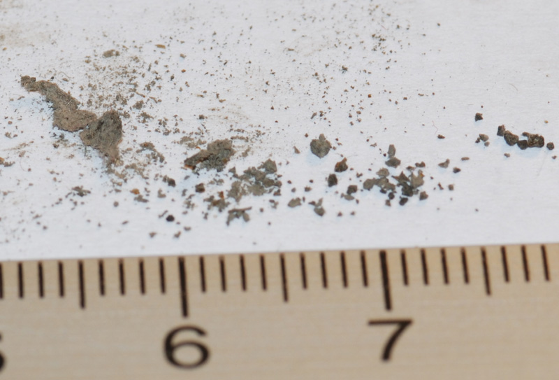 Sorpresa misteriosa al rientro dalle vacanze...